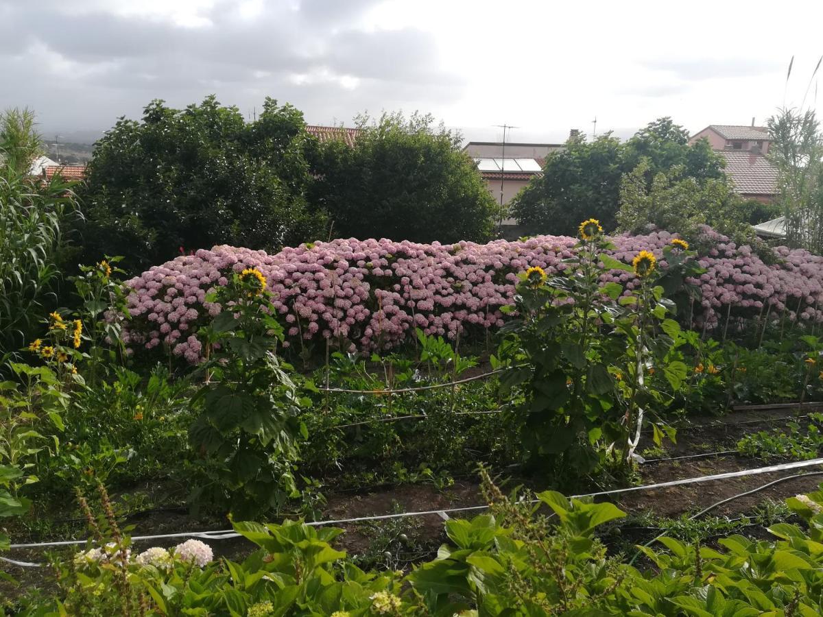 Affitta Camere Casa Delle Rose Villanova Monteleone Kültér fotó