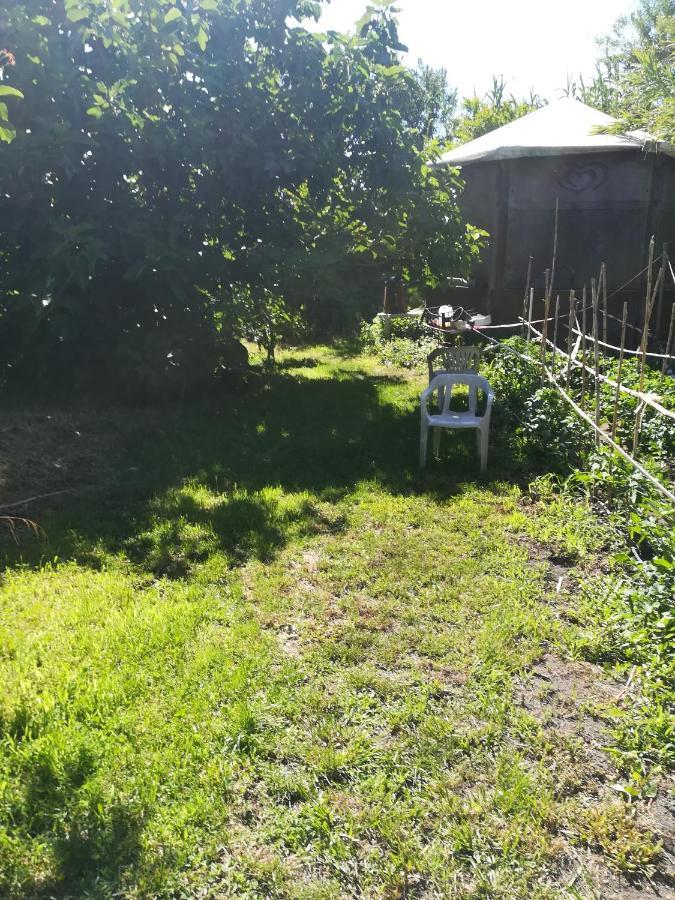 Affitta Camere Casa Delle Rose Villanova Monteleone Kültér fotó