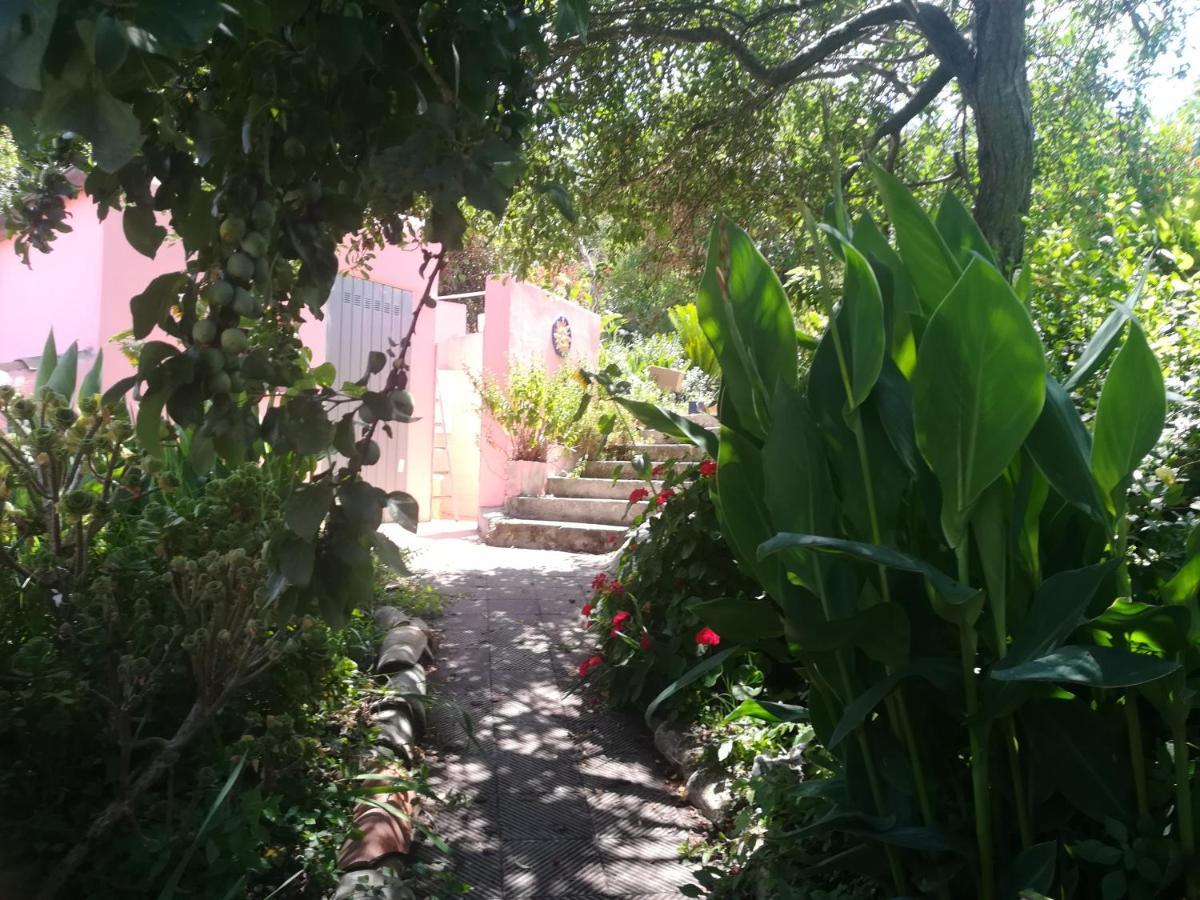 Affitta Camere Casa Delle Rose Villanova Monteleone Kültér fotó